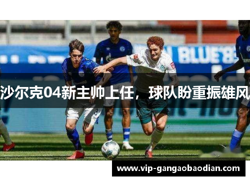 沙尔克04新主帅上任，球队盼重振雄风
